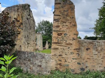 Randonnée Marche Oradour-sur-Glane - les hauts d'orateur sur glane - Photo