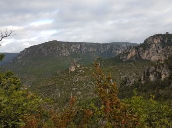 Tocht Stappen Peyreleau - Peyrelaud - Photo