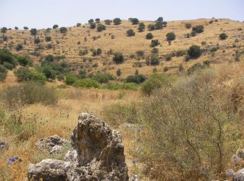 Trail On foot Galil Elyon Regional Council - שביל נחל עכברה - Photo