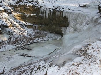 Excursión A pie Röthenbach an der Pegnitz - Schönberger Jakobsweg - Photo