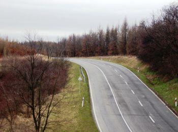 Tocht Te voet Kaposvár - K+ (Kaposvár, Kapos-híd - Zselickislak - Kecske-hát - 67-es út - Csurgó) - Photo