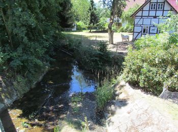 Tour Zu Fuß Bad Emstal - Bad Emstal, E12 - Kuppenweg - Photo