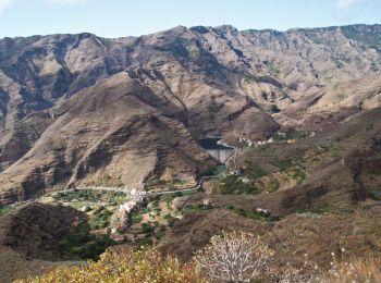 Tocht Te voet San Sebastián de la Gomera - Ruta 31 - Photo