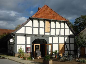 Tocht Te voet Stemwede - Leverner Südhang - Photo