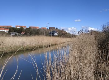 Excursión Senderismo Ambleteuse - randonnée de la slack Ambleteuse  - Photo