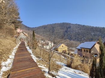 Tocht Andere activiteiten  - Visite du village Petite France  - Photo