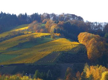 Tocht Te voet Lautenbach - Lautenbacher Hexensteig - Photo