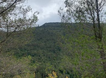 Trail Walking Fontiès-d'Aude - Fontiers d’Aude  - Photo