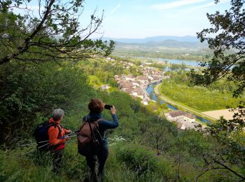 Trail Walking Chanaz - SAVOIE: CHANAZ - SAINT PIERRE DE CURTILLE - JONGIEUX - Photo