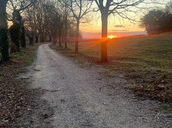 Tour Wandern Bollène - Chabrieres  - Photo