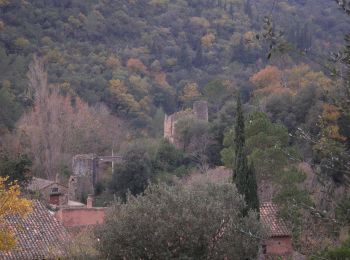 Tour Zu Fuß Alcover - Camí natural Ruta del Glorieta. Variant cèquia del Mas de Forés - Photo