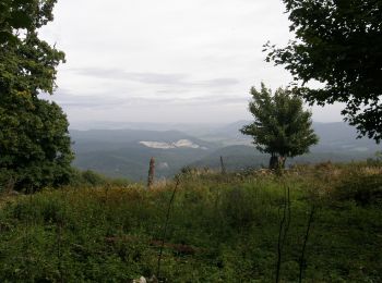 Tocht Te voet okres Piešťany - Lazová 100 - Photo