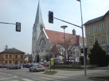 Excursión A pie Gemeinde Breitenfurt bei Wien - Pressbaum - Drei Berge - Hochroterd - Photo