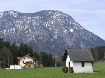 Percorso A piedi Gemeinde Schwoich - VBA-Runde - Photo