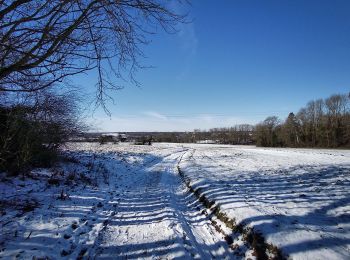 Excursión Senderismo Gerpinnes - Balade à Gerpinnes - Photo