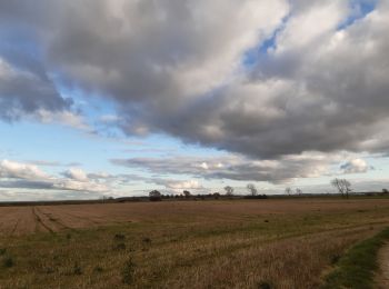 Trail Walking Cayeux-sur-Mer - lac de caouaisse . brighton . pointe de hourdel . lac de caouzisse   - Photo