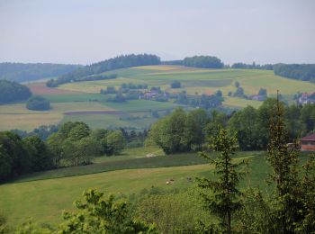 Tour Zu Fuß Poppenhausen - Poppenhausen Wanderweg 2 - Photo