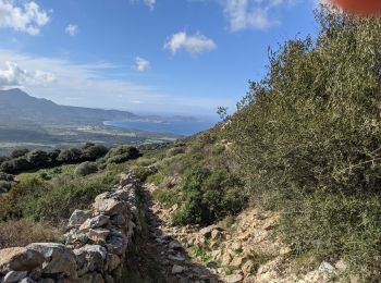 Randonnée Marche Lavatoggio - Lavatoggio Lumio - Photo