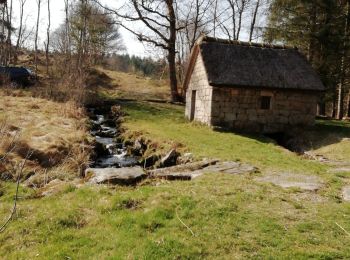 Randonnée Marche Peyrelevade - Fred moulins et cabanes de Chamboux  - Photo