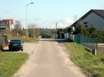 Percorso A piedi Golczewo - Szlak Doliną Niemicy - Photo