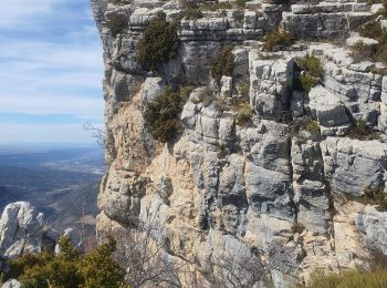 Randonnée Marche Beynes - 2023-03-17 Montagne de Beyne - Photo