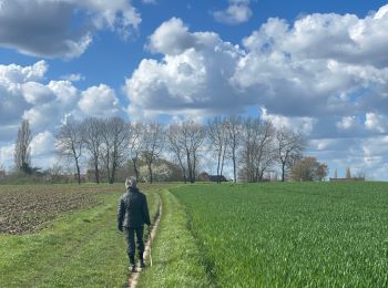 Percorso Marcia Holsbeek - Sin Pieter Rode  - Photo