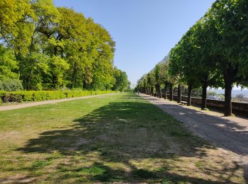 Randonnée Marche Fontenay-aux-Roses - la terrasse de Robinson - Photo