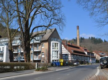 Percorso A piedi Hofheim am Taunus - Rundwanderweg Eichhorn - Photo