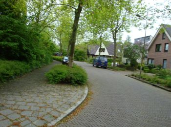 Trail On foot Bergen (NH) - Monnikenpad - Photo