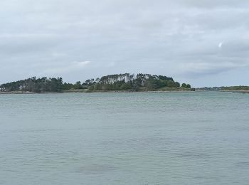 Trail Walking Trébeurden - boucle Île Grande  - Photo