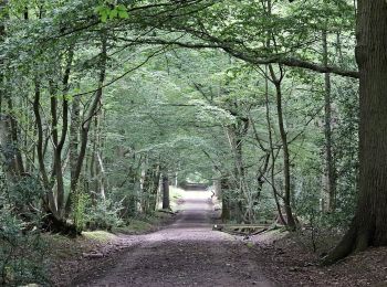 Trail On foot Broxbourne - Broxbourne Woods NNR Trail - Photo