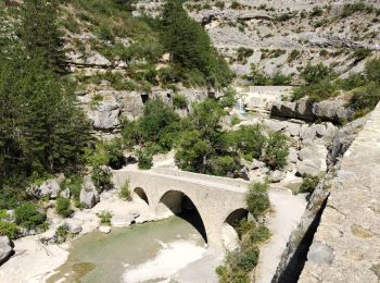 Excursión Senderismo Barret-sur-Méouge - Gorges de la meouge - Photo