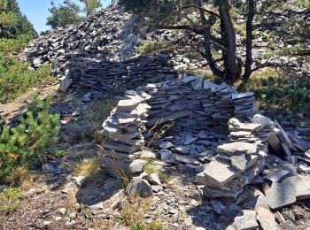 Tocht Stappen Chaudeyrolles - Mont Signon - Photo