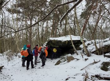 Randonnée Marche Ballancourt-sur-Essonne - Boucle Ballancourt / essonne sous la neige - Photo