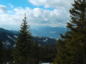 Tocht Te voet Gemeinde Spital am Semmering - Wanderweg 7 - Photo