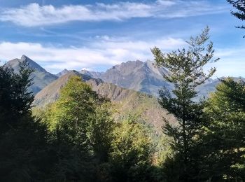 Tocht Stappen Arras-en-Lavedan - Sur la hauteur de Sireix - Photo