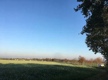 Tour Zu Fuß Hohendubrau - Gelber Balken Jerchwitz Jänkendorf - Photo