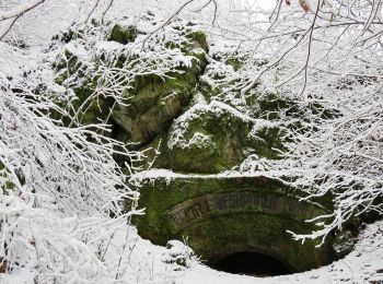 Randonnée A pied Freisen - Weiselberg-Gipfeltour - Photo