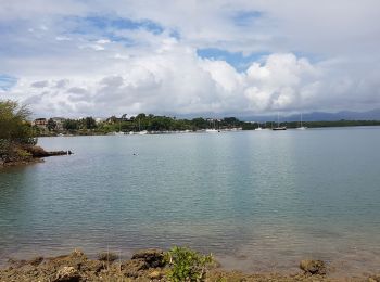 Randonnée Marche Baie-Mahault - birgmingham - Photo