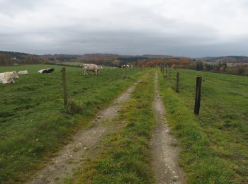 Trail Walking Marche-en-Famenne - RB-Lu-31_Marche-en-Famenne - Photo