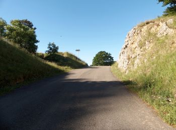 Randonnée Marche Léoncel - Pierre Chauve - Col de Tourniol - Photo