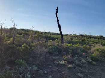 Randonnée Marche La Motte - Les Bélugues par la Rimade - Photo