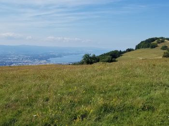 Randonnée V.T.T. Saint-Blaise - Tour du saleve depuis saint blaise - Photo