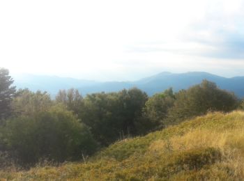 Randonnée Trail Ventron - Col d'Oderen - Oderen via table orientation Drumont - Photo