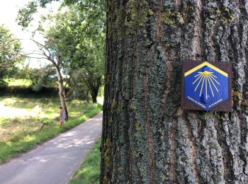 Tour Wandern Nivelles - Grambais - Tournette - Baudémont - Photo