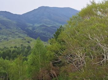 Tocht Stappen Sant'Alfio - SICILE ETNA Cratères 