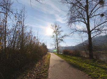 Trail Walking Nancy - Nancy Pompey et retour  - Photo