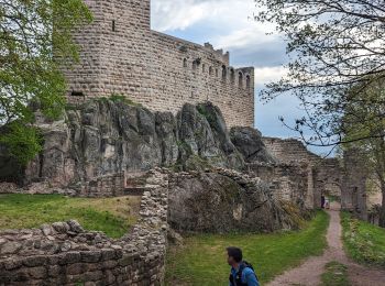 Tour Pfad Dambach - 2023-05-01 Course Trail Tous au Bernstein - Photo