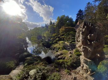 Percorso Marcia Maulévrier - Maulevrier jardin oriental - Photo