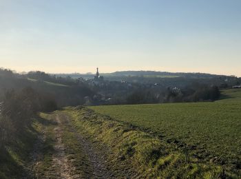 Tour Wandern Walcourt - Randonnée autour de Walcourt - Photo